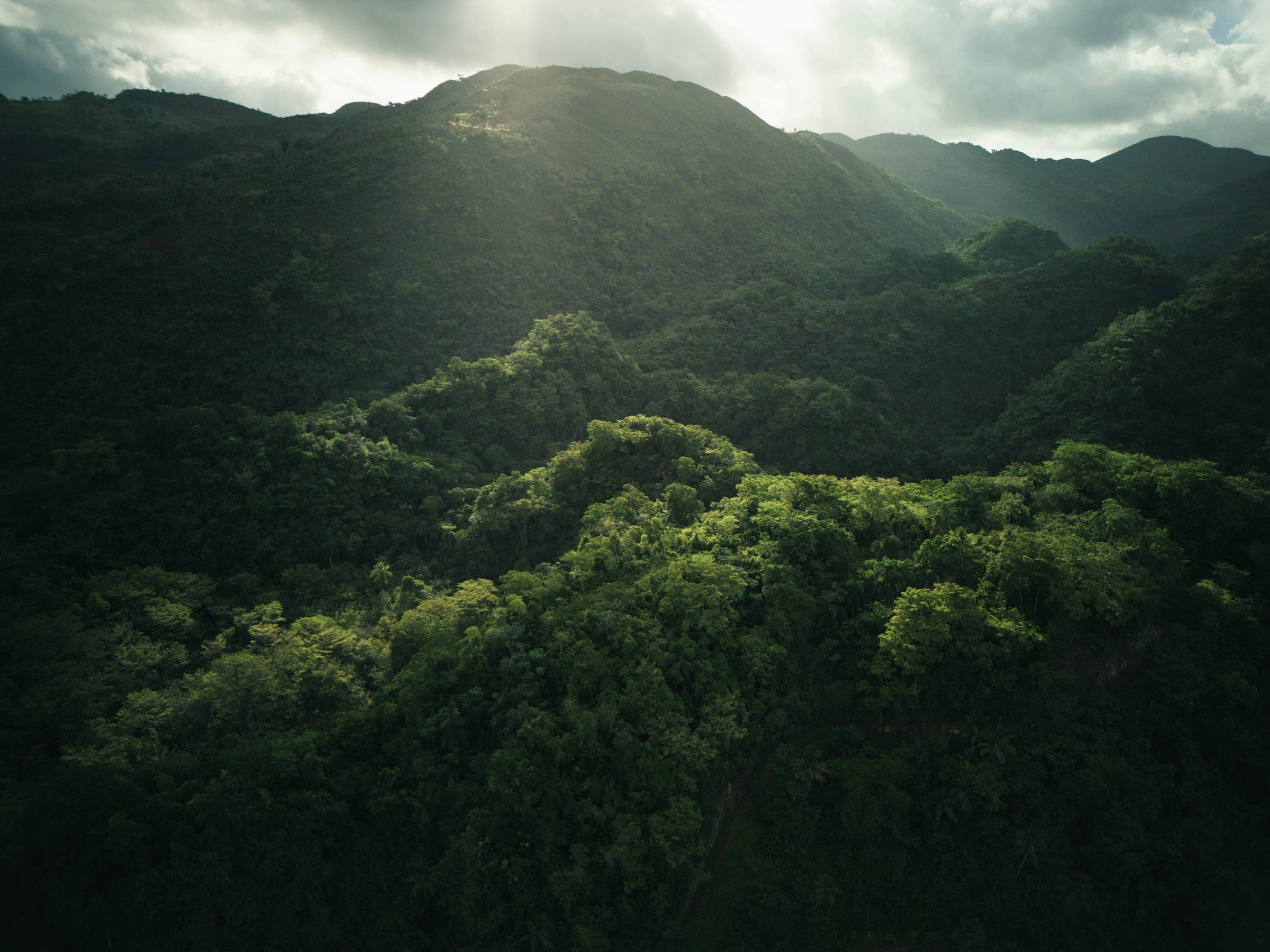 El Valle landscape — light over jungle and mountain