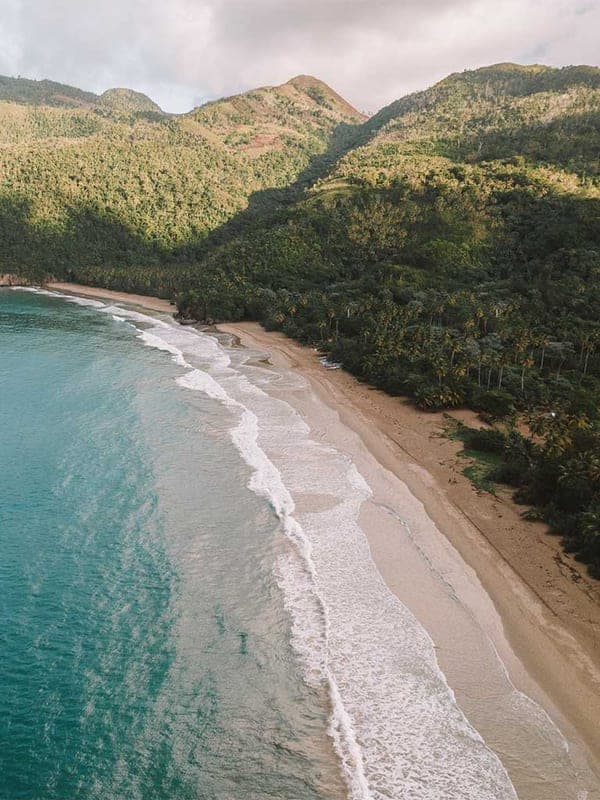 Aerial of the El Valle coastline — beach, palm groves and jungle mountains
